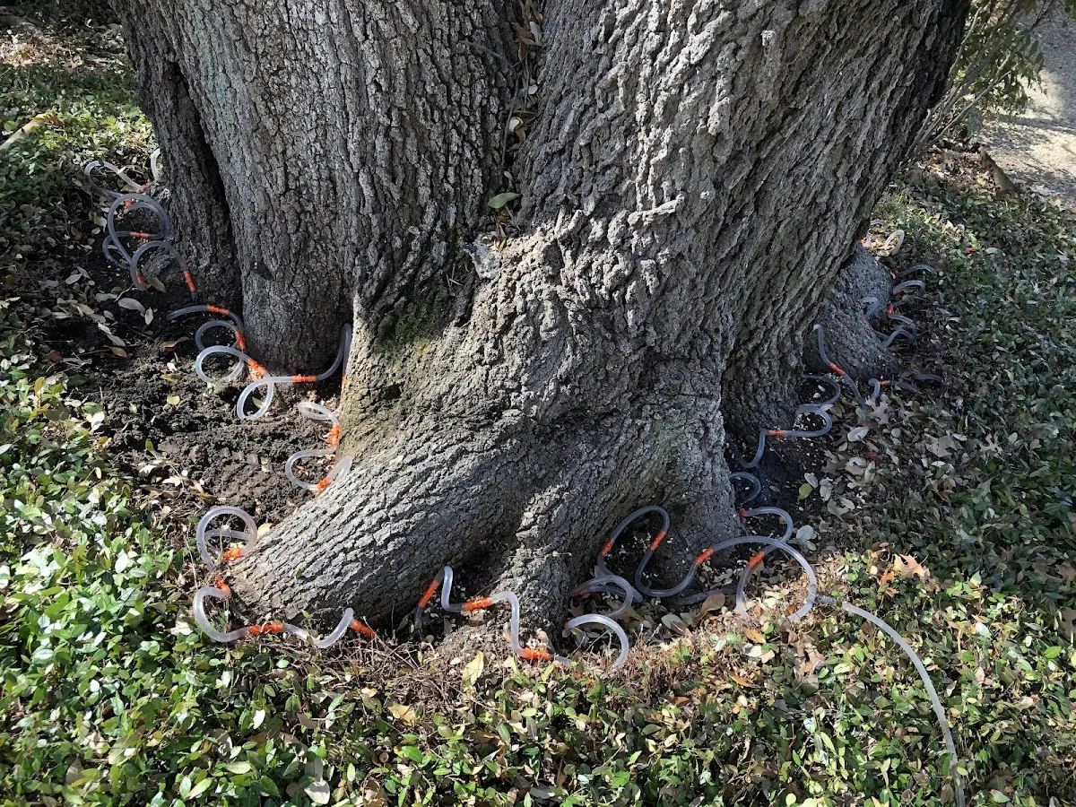 Detailed Shrub and Hedge Trimming job site in Dannebrog
